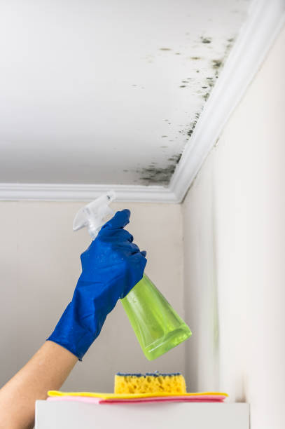 Crawl Space Mold Removal in Kingsland, TX